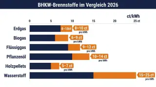 Bild infografik-bhkw-brennstoffe-vergleich-2026.jpg