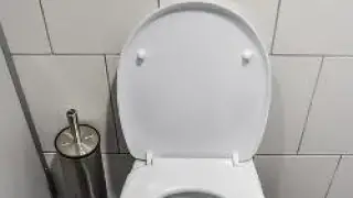 Bild wc-265278_640.jpg